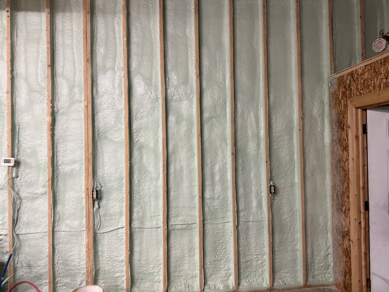 Interior wall with foam insulation batts between wooden studs and a wooden door frame on the right side